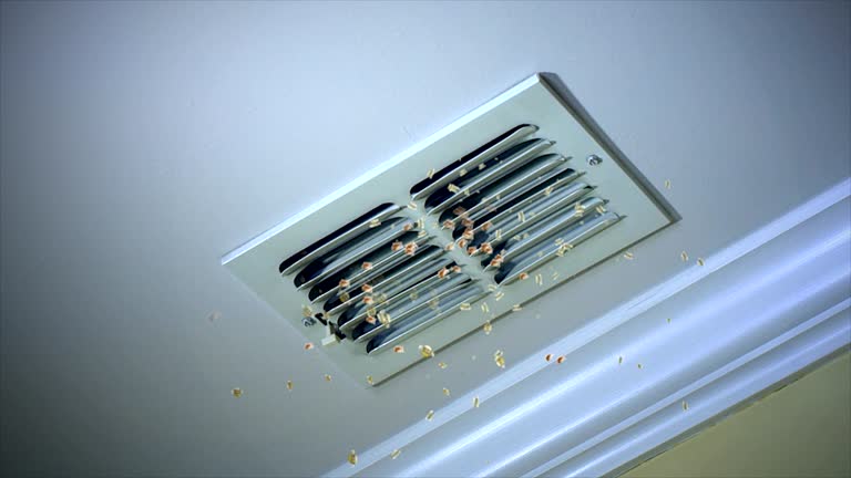 Best Home Air Vent Cleaning  in Loganville, PA
